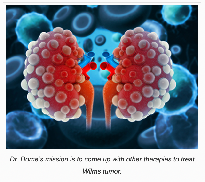 Diseased Kidneys